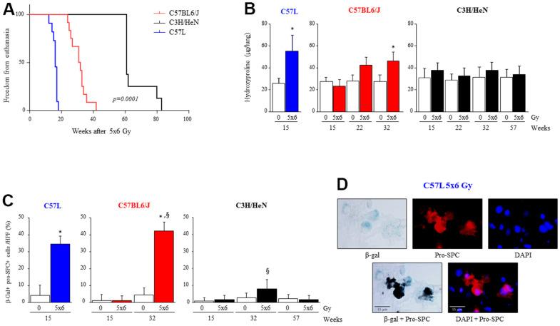 https://cdn.ncbi.nlm.nih.gov/pmc/blobs/2e23/9596223/c1648f95f565/aging-14-204309-g001.jpg