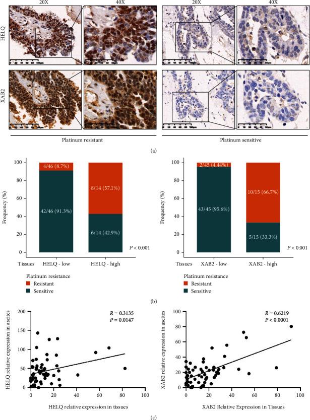 https://cdn.ncbi.nlm.nih.gov/pmc/blobs/2e24/8983184/12b98b82862f/JO2022-7521934.004.jpg