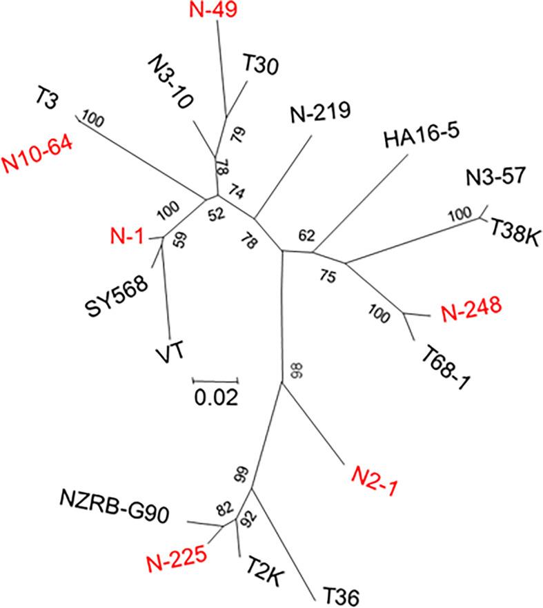 https://cdn.ncbi.nlm.nih.gov/pmc/blobs/2e24/9650399/81ba88bdfaf3/fpls-13-1024556-g002.jpg