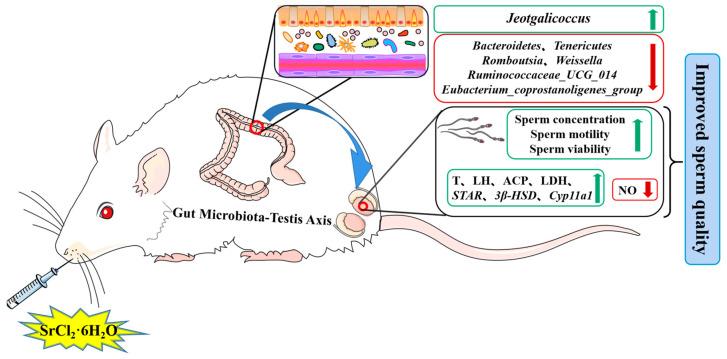 https://cdn.ncbi.nlm.nih.gov/pmc/blobs/2e26/10531462/4bca9de0ea5a/ijms-24-13922-g008.jpg