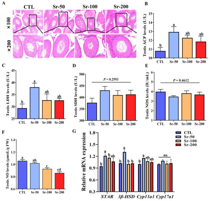 https://cdn.ncbi.nlm.nih.gov/pmc/blobs/2e26/10531462/842c91a13bf9/ijms-24-13922-g002.jpg