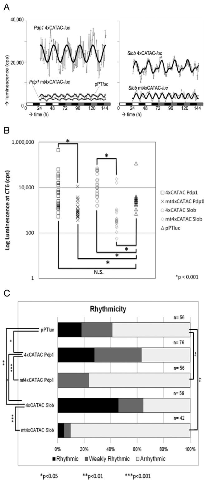 https://cdn.ncbi.nlm.nih.gov/pmc/blobs/2e27/5499816/818882dc9080/gkx268fig2.jpg