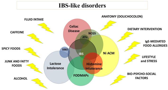 https://cdn.ncbi.nlm.nih.gov/pmc/blobs/2e29/11644447/d3de7ca40da9/nutrients-16-04236-g005.jpg