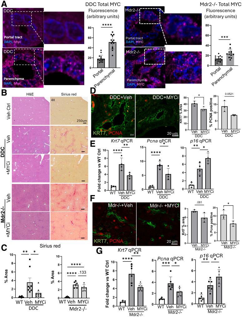https://cdn.ncbi.nlm.nih.gov/pmc/blobs/2e29/12296560/3b04ec0473cb/gr8.jpg