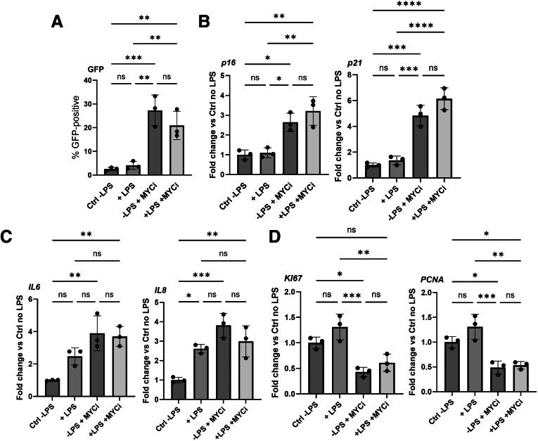 https://cdn.ncbi.nlm.nih.gov/pmc/blobs/2e29/12296560/83486ec5a33b/gr11.jpg