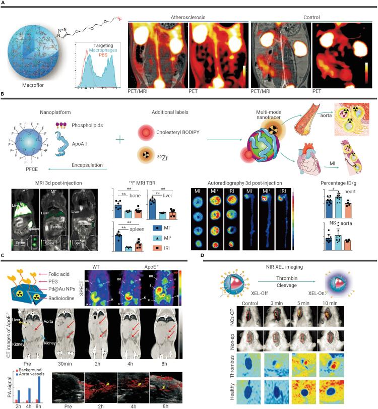 https://cdn.ncbi.nlm.nih.gov/pmc/blobs/2e29/8866095/3451c33807b5/gr3.jpg