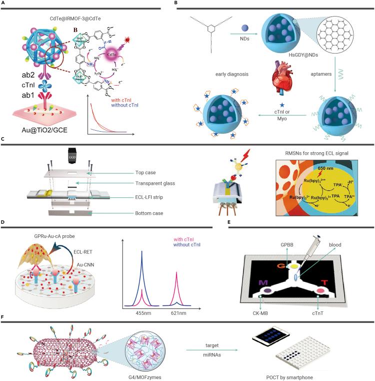 https://cdn.ncbi.nlm.nih.gov/pmc/blobs/2e29/8866095/7ca0e86b6b4b/gr1.jpg