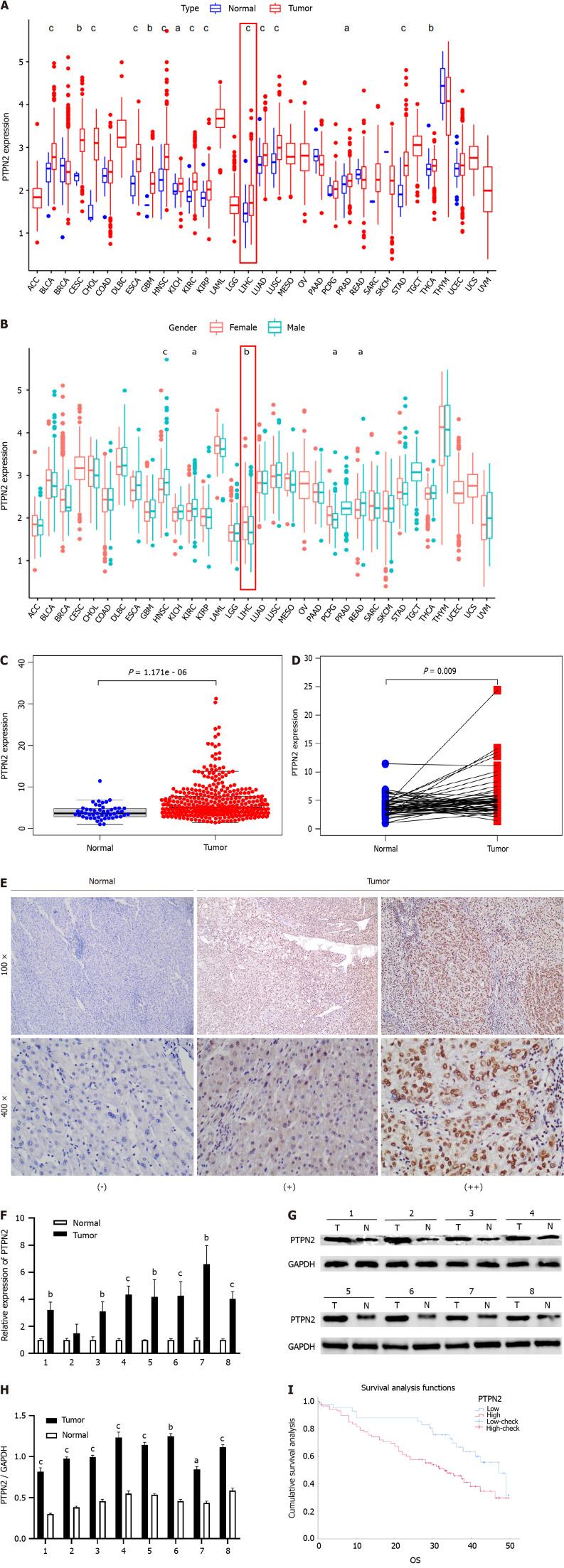 https://cdn.ncbi.nlm.nih.gov/pmc/blobs/2e2a/11438766/800802f4b4fc/WJGO-16-3913-g001.jpg