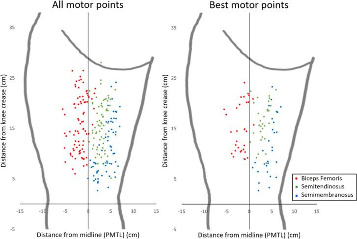 https://cdn.ncbi.nlm.nih.gov/pmc/blobs/2e2b/11835891/b96b9adb4a15/10439_2024_3657_Fig3_HTML.jpg