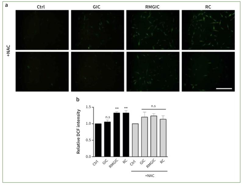 https://cdn.ncbi.nlm.nih.gov/pmc/blobs/2e2c/11619821/50b232e28070/ohpd-21-243-g002.jpg
