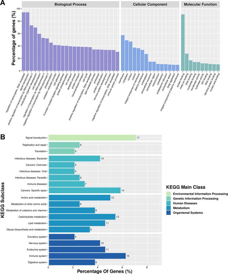https://cdn.ncbi.nlm.nih.gov/pmc/blobs/2e2d/11098597/501c54f34f54/BJR-2023-0271.R1-galleyfig2.jpg