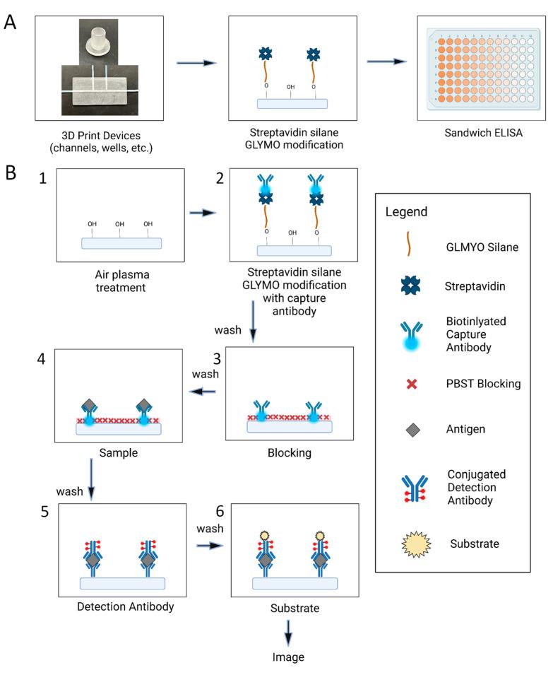 https://cdn.ncbi.nlm.nih.gov/pmc/blobs/2e2e/12024930/fb11804a20e5/biosensors-15-00211-g001.jpg