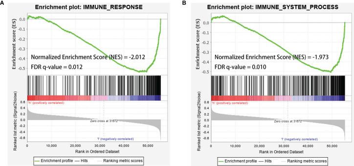https://cdn.ncbi.nlm.nih.gov/pmc/blobs/2e2e/9047752/cd9785ecd534/fonc-12-769202-g008.jpg