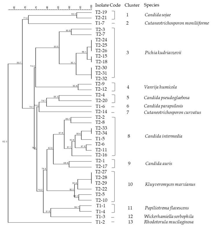 https://cdn.ncbi.nlm.nih.gov/pmc/blobs/2e31/9228510/4fcf5cc82322/microorganisms-10-01079-g002.jpg