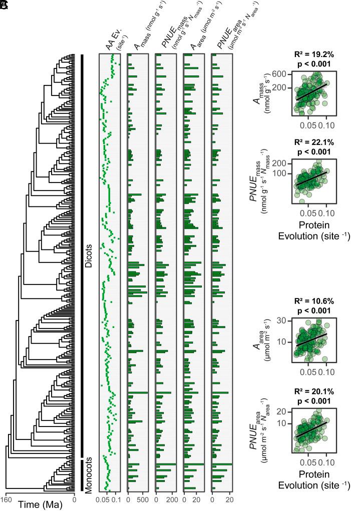 https://cdn.ncbi.nlm.nih.gov/pmc/blobs/2e32/10945770/e43189f9a65d/pnas.2321050121fig05.jpg