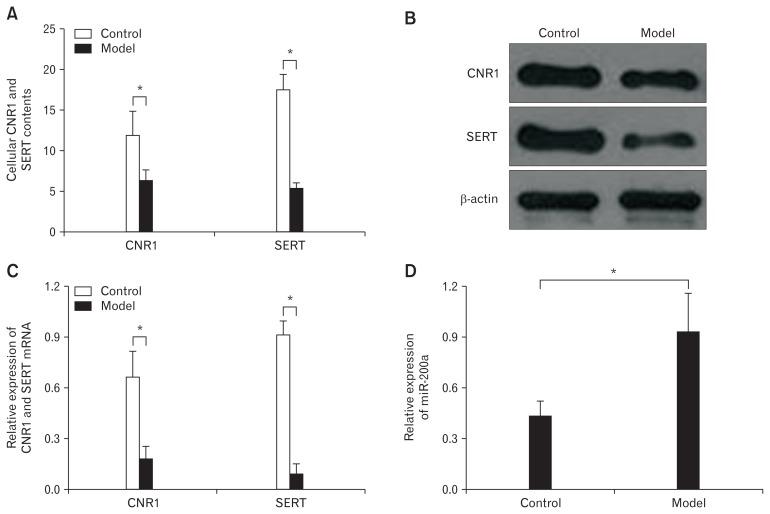 https://cdn.ncbi.nlm.nih.gov/pmc/blobs/2e34/6175558/1c3955f498da/jnm-24-656f4.jpg