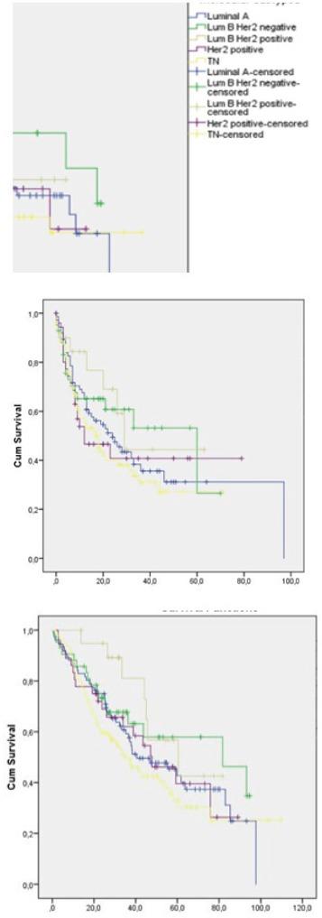 https://cdn.ncbi.nlm.nih.gov/pmc/blobs/2e36/5454634/f057dd903cdd/APJCP-17-4797-g001.jpg