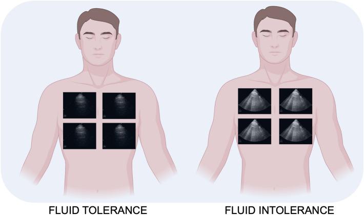 https://cdn.ncbi.nlm.nih.gov/pmc/blobs/2e38/10861418/ee3bdbfb6356/13089_2023_351_Fig3_HTML.jpg