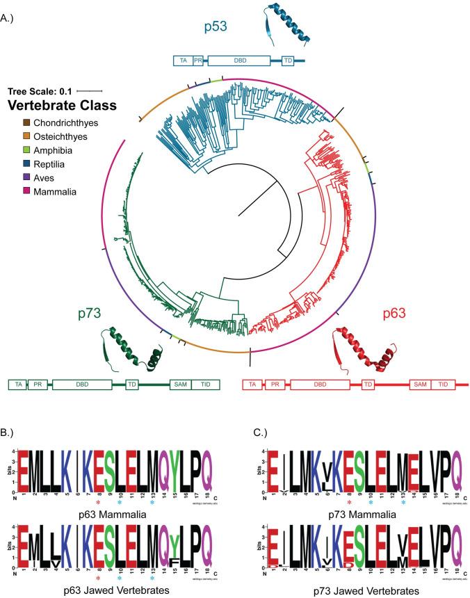 https://cdn.ncbi.nlm.nih.gov/pmc/blobs/2e38/9876281/0b89b2f5a44d/pone.0277726.g003.jpg