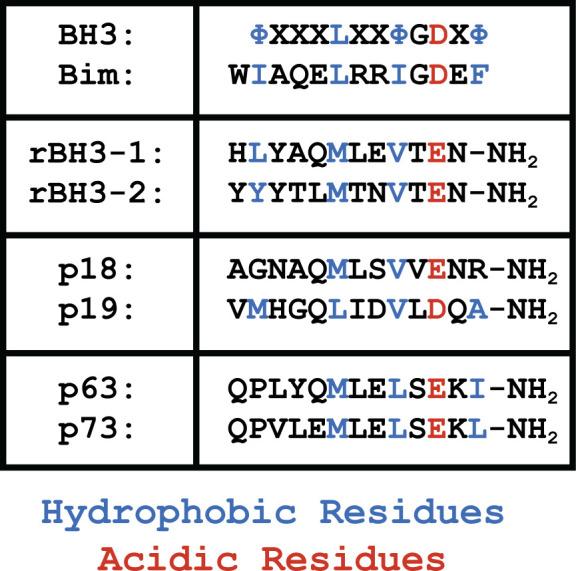 https://cdn.ncbi.nlm.nih.gov/pmc/blobs/2e38/9876281/6a568370df89/pone.0277726.g001.jpg