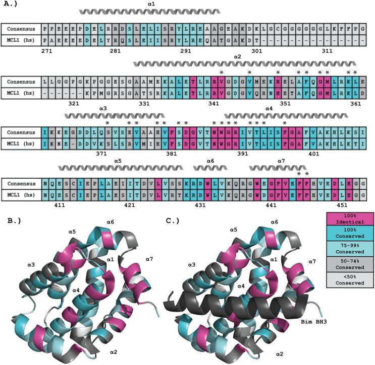 https://cdn.ncbi.nlm.nih.gov/pmc/blobs/2e38/9876281/a6b862606733/pone.0277726.g002.jpg