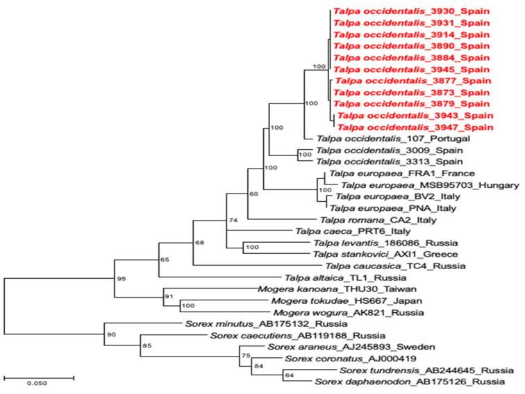 https://cdn.ncbi.nlm.nih.gov/pmc/blobs/2e3a/10302183/0dbce658c1a7/viruses-15-01313-g003.jpg