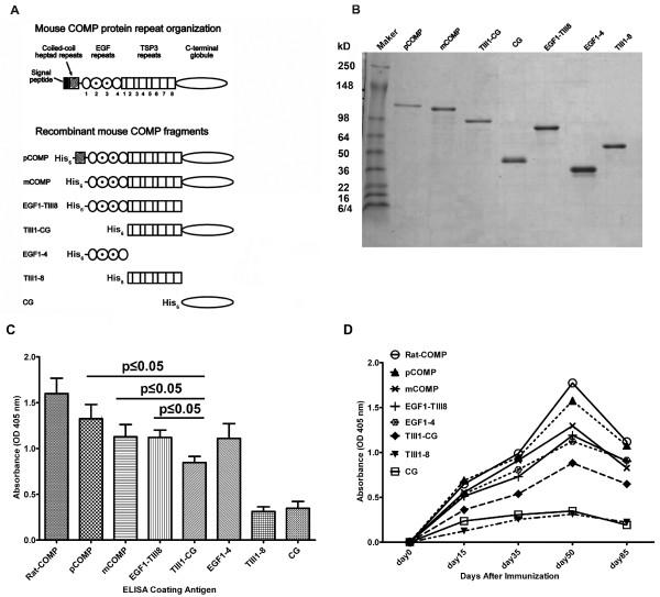 https://cdn.ncbi.nlm.nih.gov/pmc/blobs/2e3b/3580587/102ca5e1938f/ar4022-1.jpg