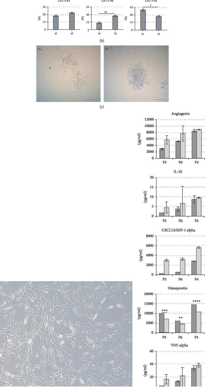 https://cdn.ncbi.nlm.nih.gov/pmc/blobs/2e3b/7066423/41fe04ffc7b0/SCI2020-7104243.006.jpg