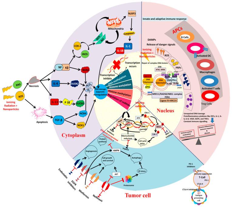 https://cdn.ncbi.nlm.nih.gov/pmc/blobs/2e3c/9612299/ed1c7458407a/metabolites-12-00943-g003.jpg