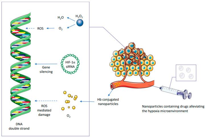 https://cdn.ncbi.nlm.nih.gov/pmc/blobs/2e3c/9612299/fefa44c63873/metabolites-12-00943-g002.jpg