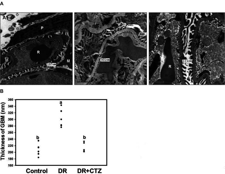https://cdn.ncbi.nlm.nih.gov/pmc/blobs/2e3f/7445481/5c680e9c1a3d/KJPP-24-403-f1.jpg