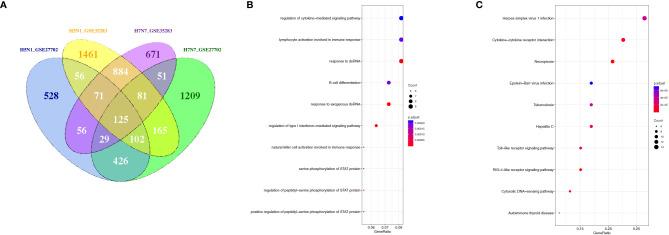 https://cdn.ncbi.nlm.nih.gov/pmc/blobs/2e43/8337049/57004ebbdb3b/fimmu-12-632798-g008.jpg