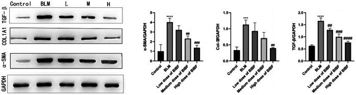 https://cdn.ncbi.nlm.nih.gov/pmc/blobs/2e45/10359208/011f35622689/10753_2023_1825_Fig6_HTML.jpg