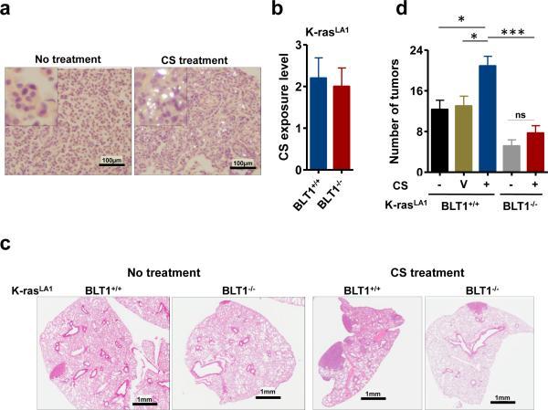 https://cdn.ncbi.nlm.nih.gov/pmc/blobs/2e46/4418220/47d8106faf8d/nihms-676390-f0001.jpg
