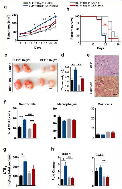 https://cdn.ncbi.nlm.nih.gov/pmc/blobs/2e46/4418220/4d417cbeddc7/nihms-676390-f0008.jpg