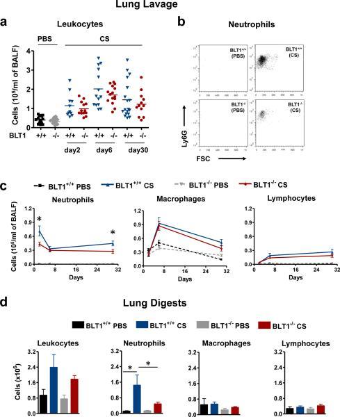 https://cdn.ncbi.nlm.nih.gov/pmc/blobs/2e46/4418220/57dabd00258d/nihms-676390-f0003.jpg