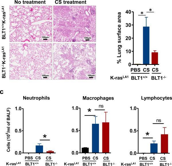 https://cdn.ncbi.nlm.nih.gov/pmc/blobs/2e46/4418220/8fc899e02728/nihms-676390-f0002.jpg