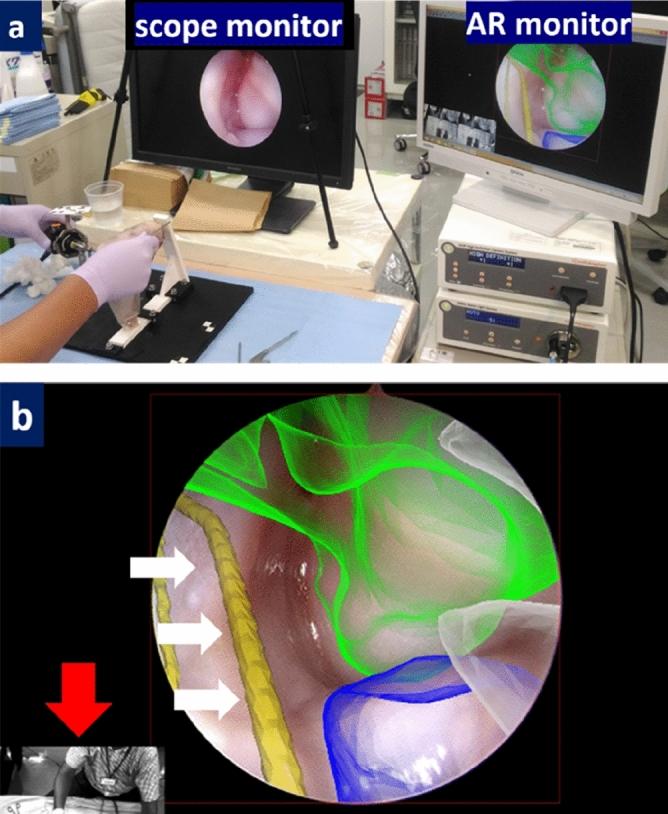 https://cdn.ncbi.nlm.nih.gov/pmc/blobs/2e46/7907139/05008bcf84af/41598_2021_84062_Fig6_HTML.jpg