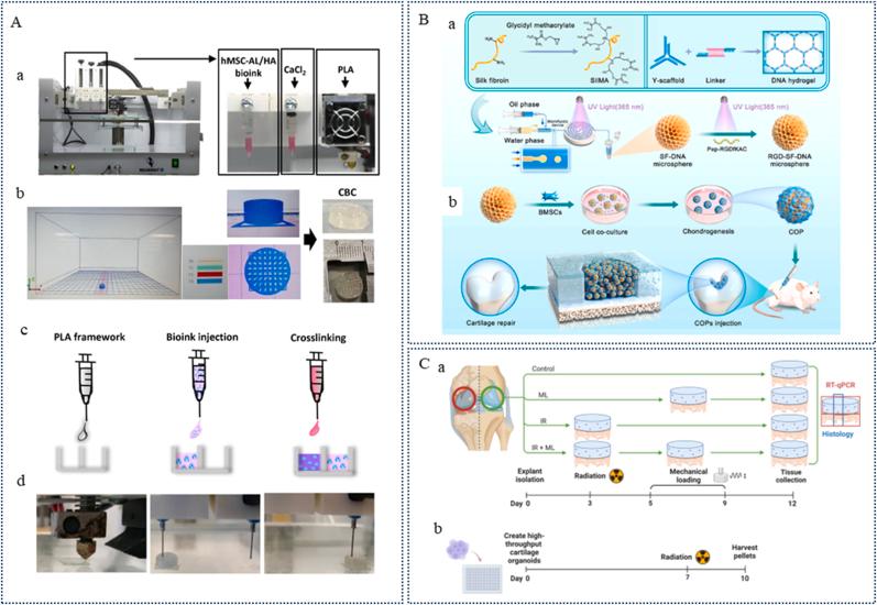 https://cdn.ncbi.nlm.nih.gov/pmc/blobs/2e4d/12283559/00ddb90f34d4/gr5.jpg