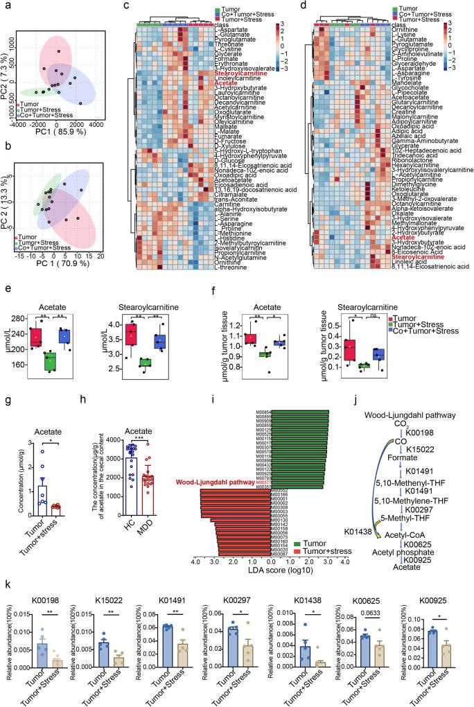 https://cdn.ncbi.nlm.nih.gov/pmc/blobs/2e4e/10547687/613296965278/41467_2023_41817_Fig5_HTML.jpg