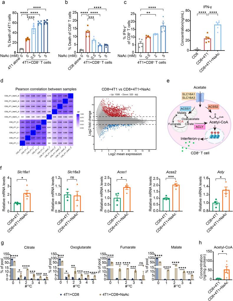 https://cdn.ncbi.nlm.nih.gov/pmc/blobs/2e4e/10547687/a72999b7efa7/41467_2023_41817_Fig7_HTML.jpg