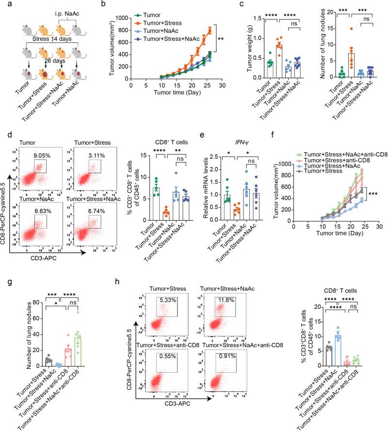 https://cdn.ncbi.nlm.nih.gov/pmc/blobs/2e4e/10547687/aa128d288aea/41467_2023_41817_Fig6_HTML.jpg