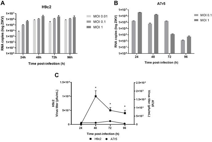 https://cdn.ncbi.nlm.nih.gov/pmc/blobs/2e4e/12312972/9e9bb7d9e5c0/pntd.0013292.g002.jpg
