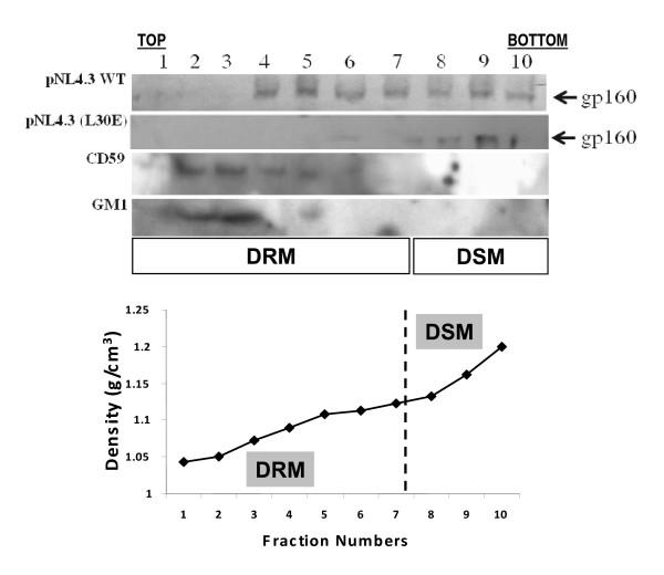 https://cdn.ncbi.nlm.nih.gov/pmc/blobs/2e4e/2820015/6c80a77f384b/1743-422X-7-3-2.jpg