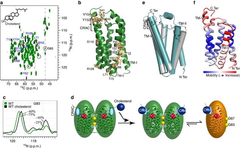 https://cdn.ncbi.nlm.nih.gov/pmc/blobs/2e4e/5379104/25cadf3c6f1e/ncomms14893-f5.jpg