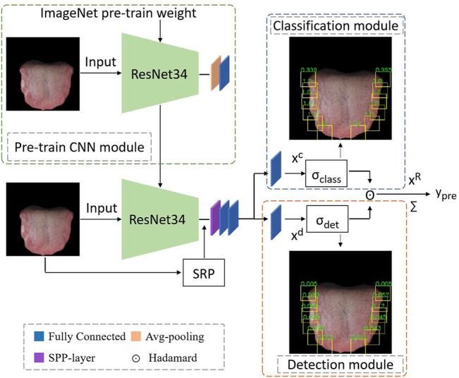 https://cdn.ncbi.nlm.nih.gov/pmc/blobs/2e4f/9039050/5e4be23757ad/fphys-13-847267-g003.jpg