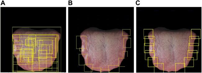 https://cdn.ncbi.nlm.nih.gov/pmc/blobs/2e4f/9039050/e427ec3c0a41/fphys-13-847267-g007.jpg