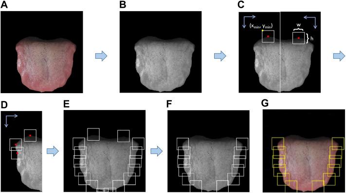 https://cdn.ncbi.nlm.nih.gov/pmc/blobs/2e4f/9039050/e946d1a45110/fphys-13-847267-g006.jpg
