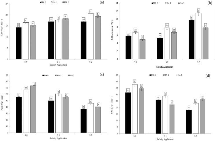 https://cdn.ncbi.nlm.nih.gov/pmc/blobs/2e52/9575685/d8dfdf585e8d/peerj-10-13793-g005.jpg