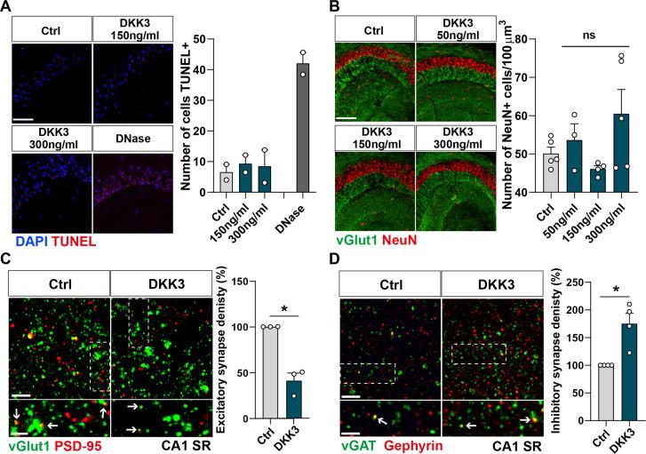 https://cdn.ncbi.nlm.nih.gov/pmc/blobs/2e53/10945611/0764be74c949/elife-89453-fig3-figsupp1.jpg